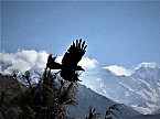 Flying over Everest Bild: Flying over Everest